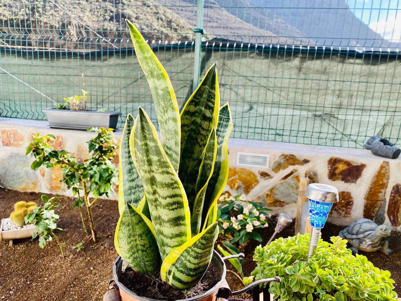 Foto 10 von 57: Tasartico-Ferienhaus