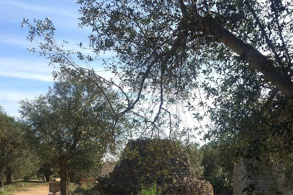 Foto 13 von 30: Salento: In San Gregorio Villa Mit Civeury Olive Grove, Garten Und Porch