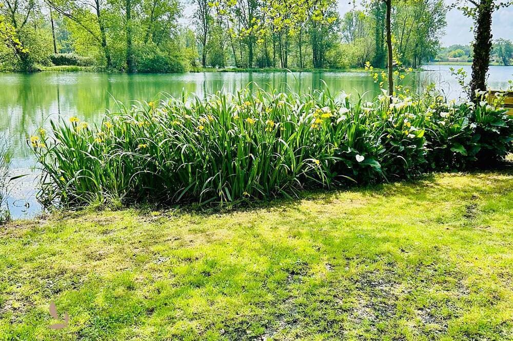 Foto 4 von 20: Maison Avec Accès Privé au lac - Petfriendly