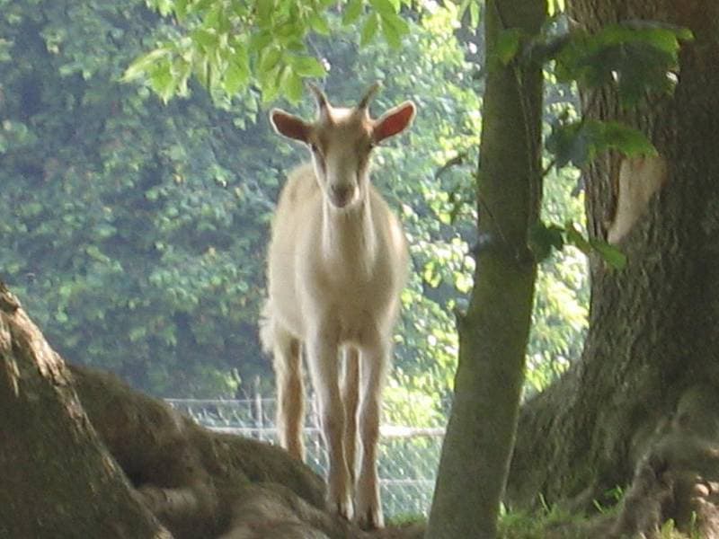 Foto 11 von 16: Gîtes de France® - L'Iris Bleu