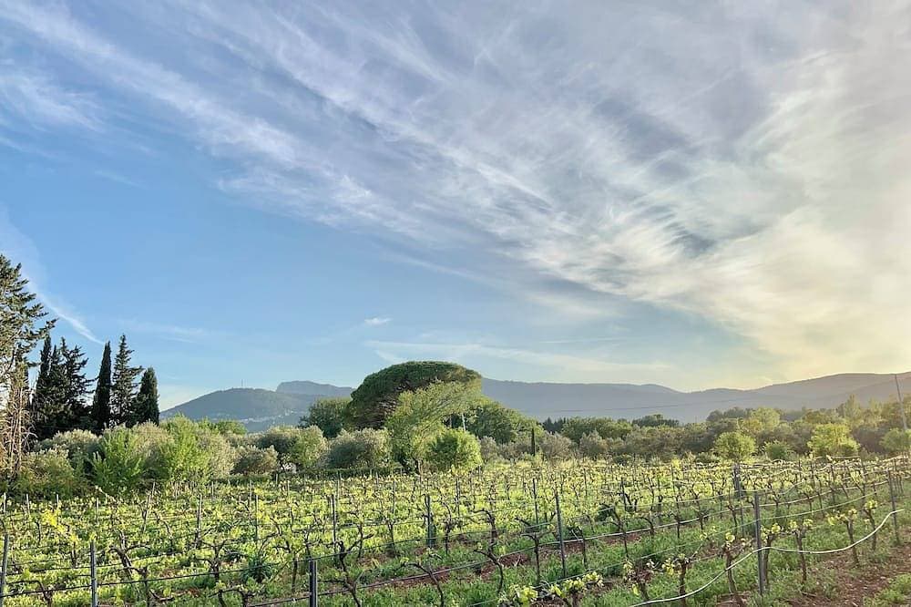 Foto 8 von 12: Escape to Provence: a charming cottage in the heart of olive groves