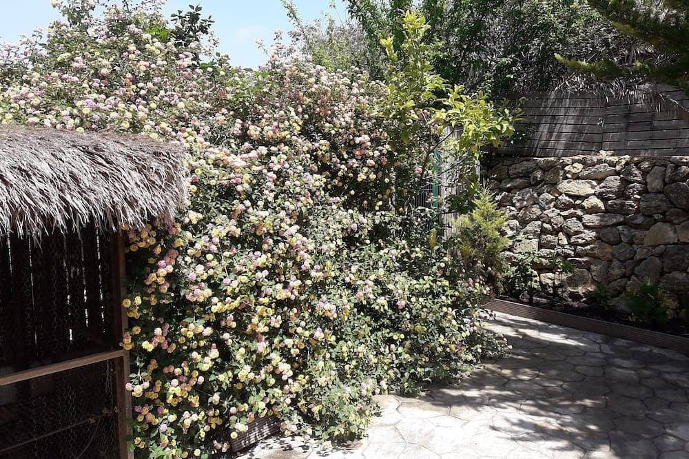 Foto 8 von 30: Villa Brisa Wunderbare Touristen Aufenthalt In Ibiza