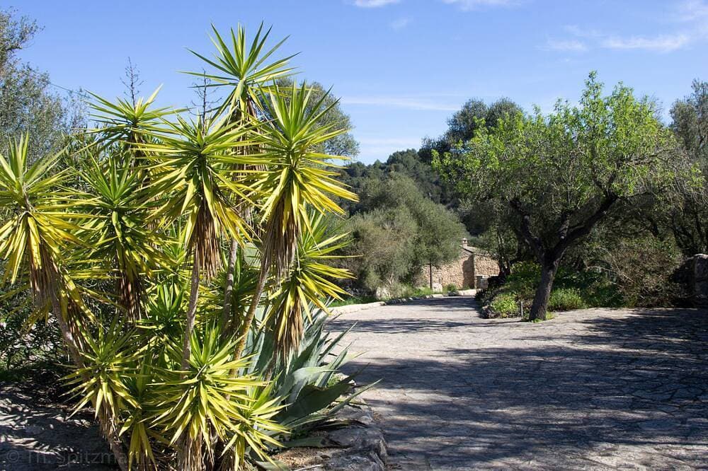 Foto 8 von 30: Charmante Finca - 800m bis Artà mit Blick auf San Salvador, Pool, Klimaanlage