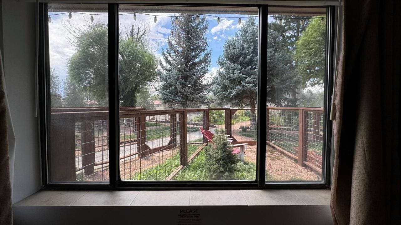 Foto 13 von 21: Double Room with Garden View