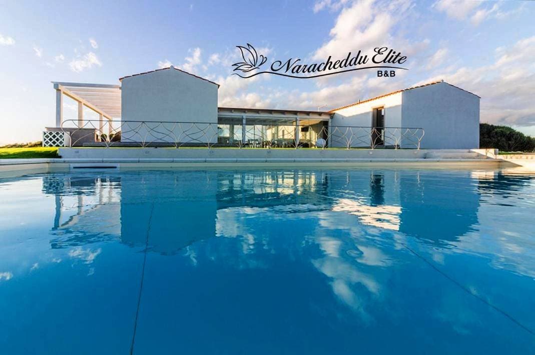 B&B Naracheddu Elite 1