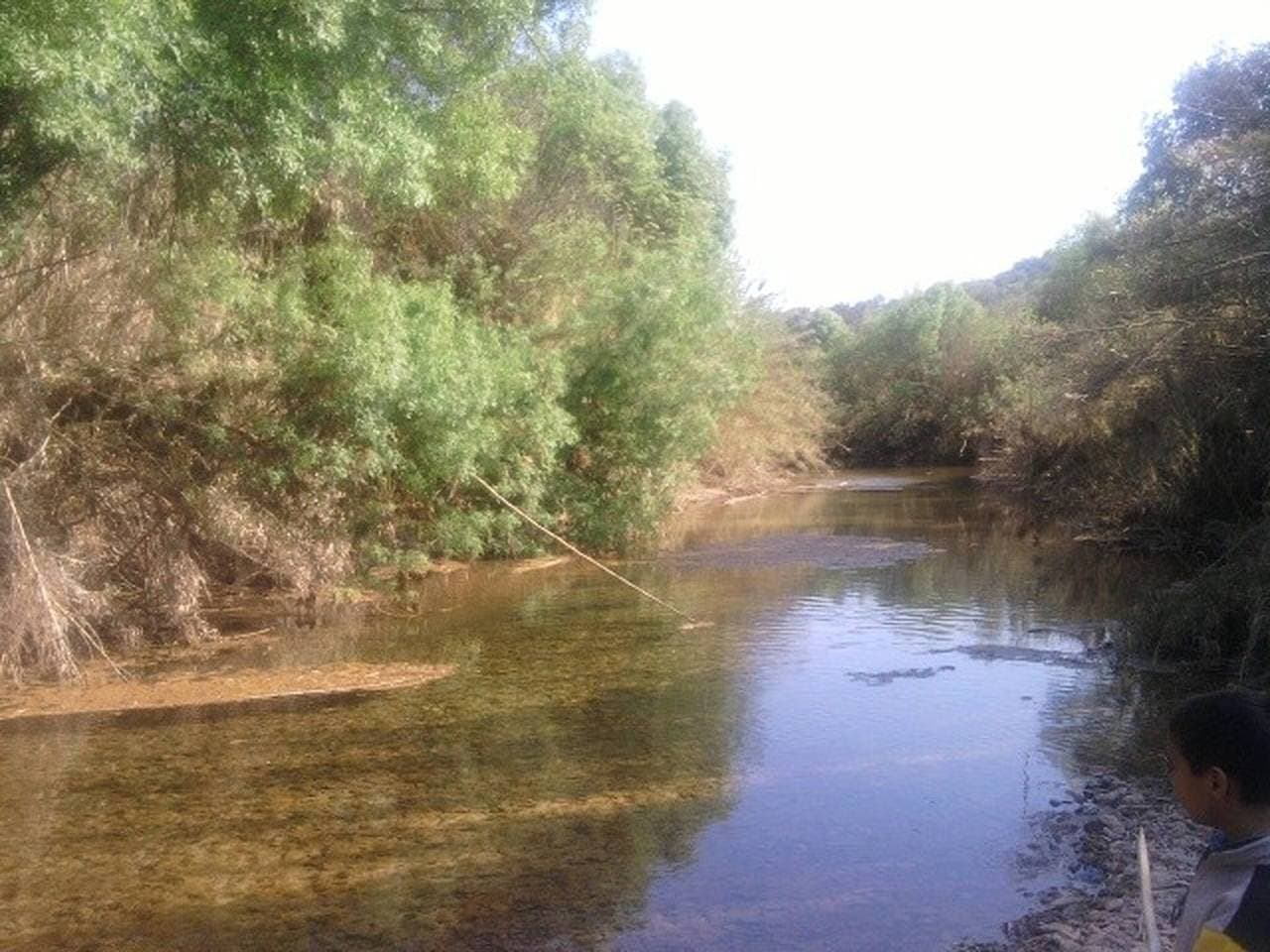 Foto 5 von 58: Casa Amoreira - Quinta Amoreira