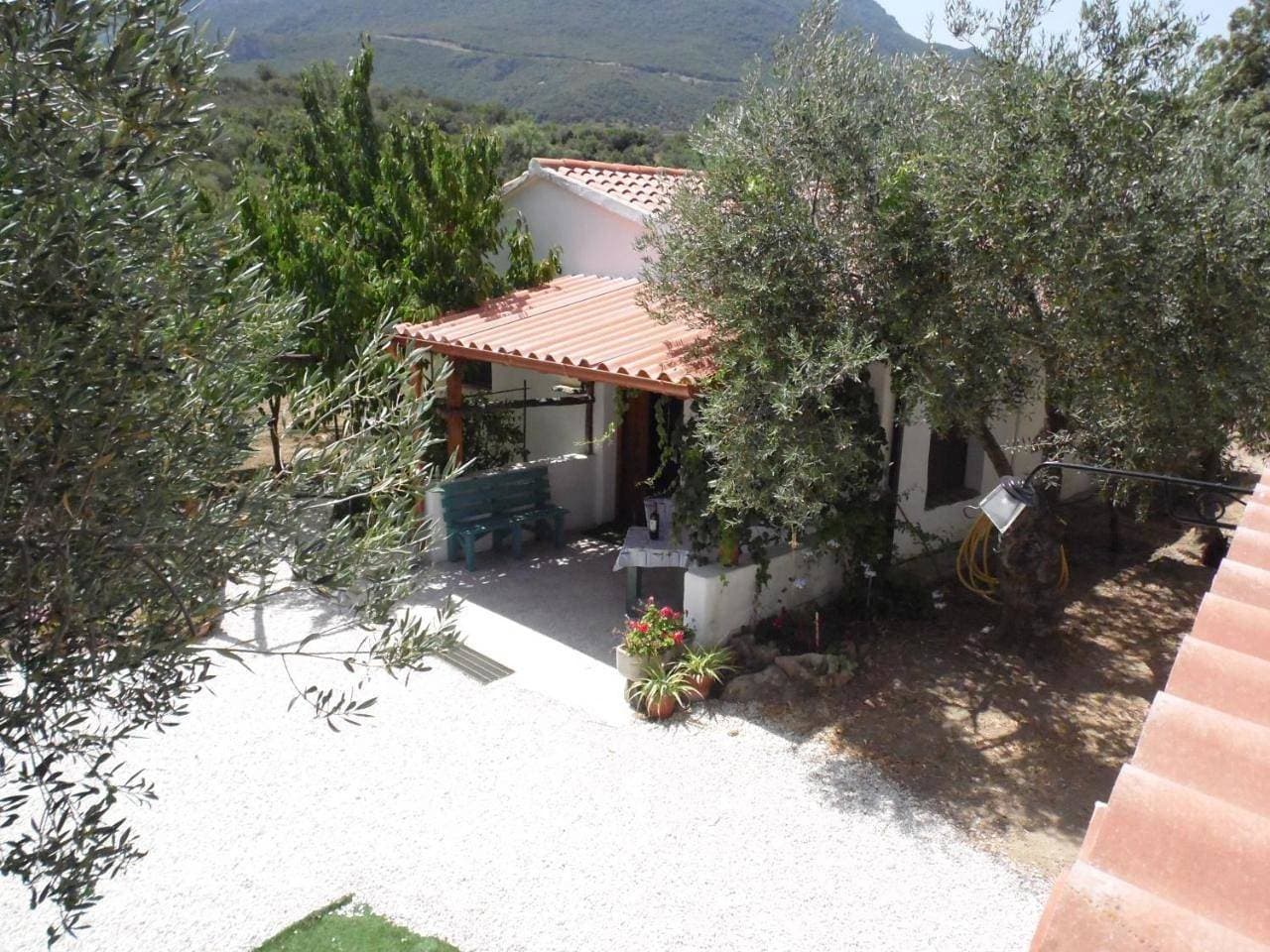 Villa L'Oliveto 1