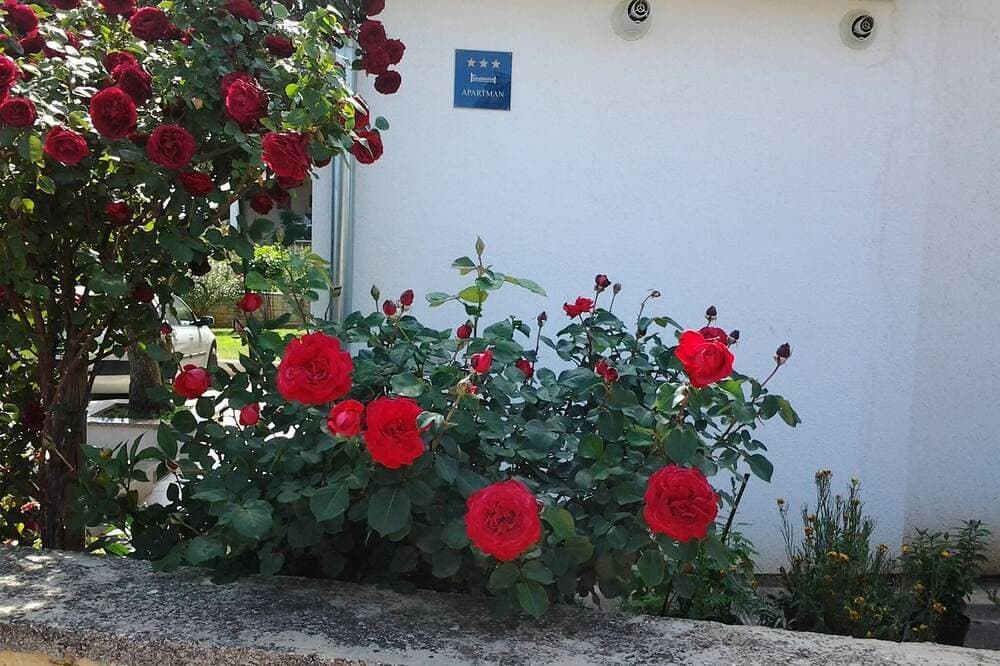 Foto 11 von 23: Wohnung für 2 Personen in Strandnähe, Radwege