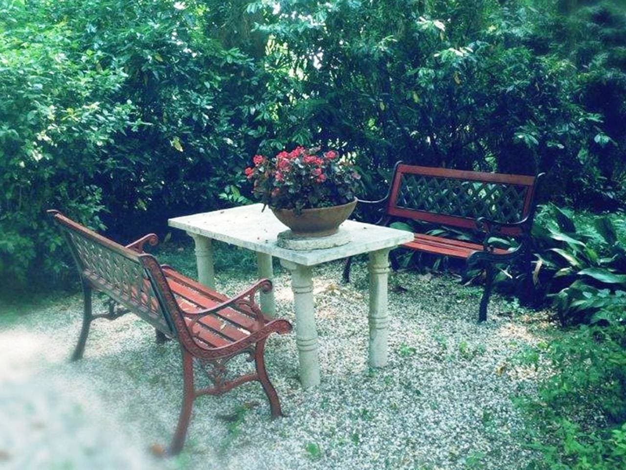Foto 4 von 32: Schloss in der Region Venedig mit Gartenblick