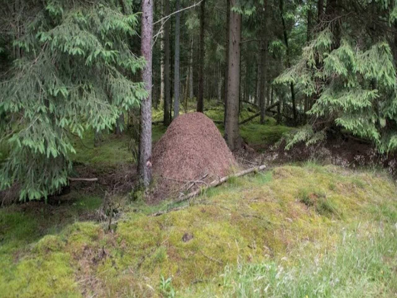 Foto 4 von 40: Luxus-Ruckzug mit Spa