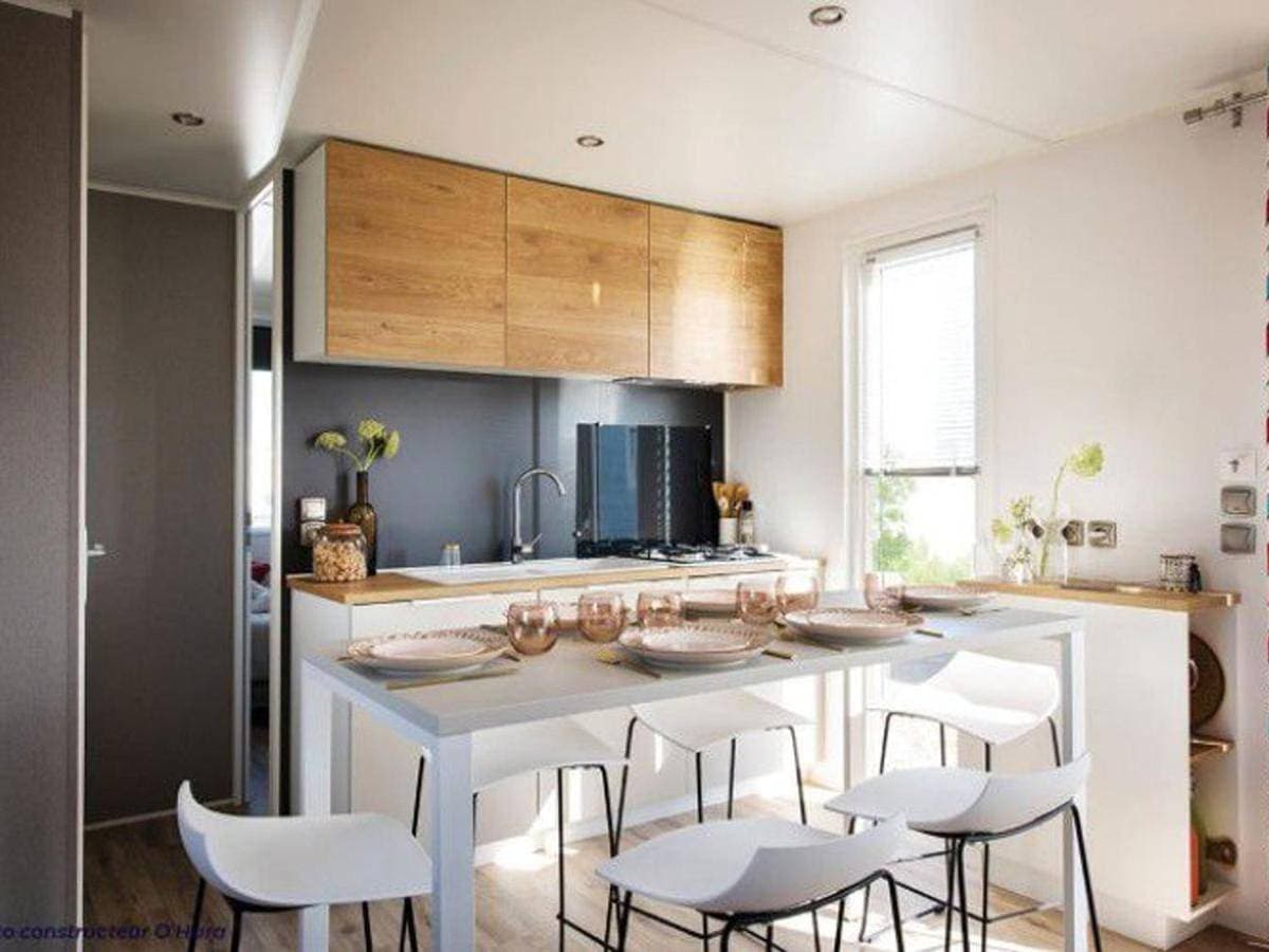 Mobil home 7 pers avec terrasse à Salles-Curan - API-1-52-469 1