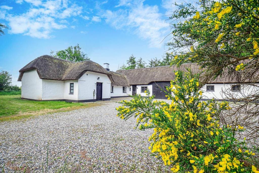Renovierter Dünenhof mit über 200 qm Wohnfläche, Sauna und Whirlpool 1
