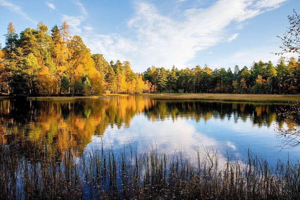 Foto 13 von 17: Einzigartige norwegische Hütte über dem Fluss Findhorn mit einer atemberaubenden Aussicht