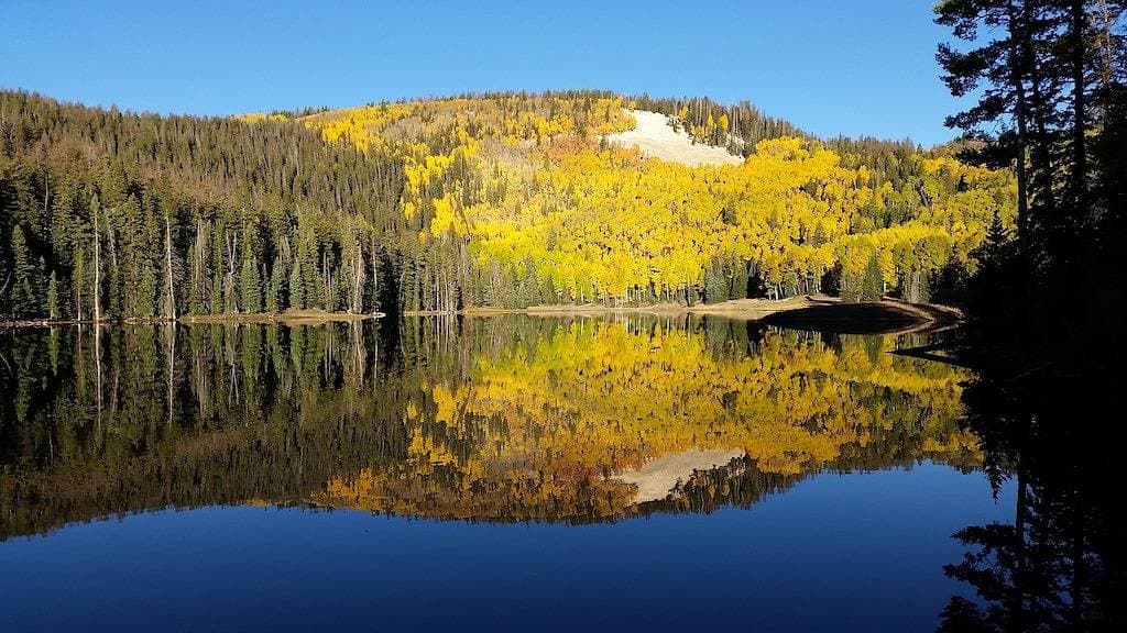Foto 3 von 15: Flucht in die Wildnis. Abgeschiedene abgelegene Hütte mit privatem Teich