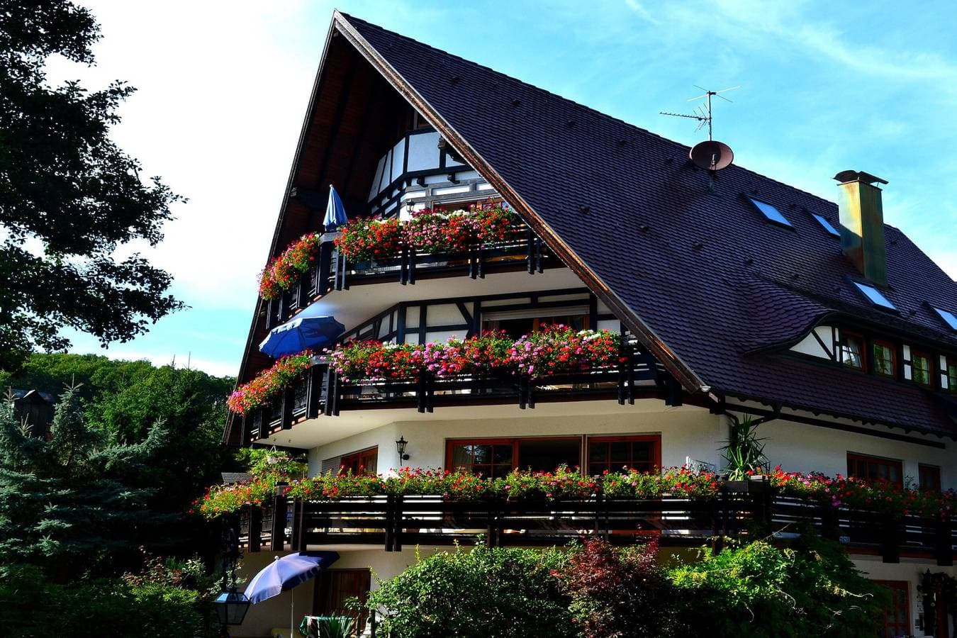 Haus Bachschwalbe 1