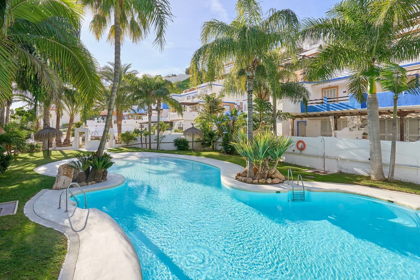 Tropical Oasis 1