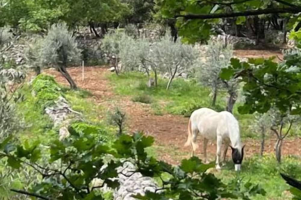 Foto 8 von 12: Nature gite - Provence