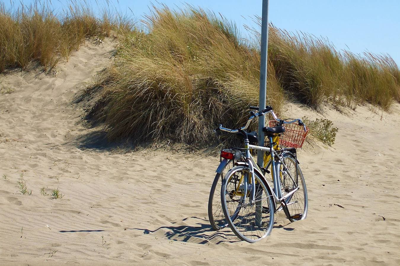 Ferienwohnung Rosmarina 300 Meter vom Strand 1
