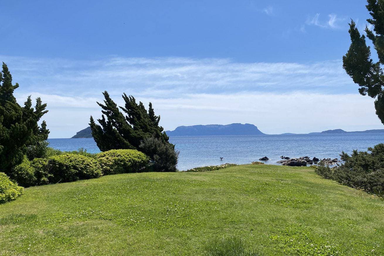 Foto 2 von 25: Ginestra Apartment. Three-room apartment, sleeps 6, on the ground floor with sea view.