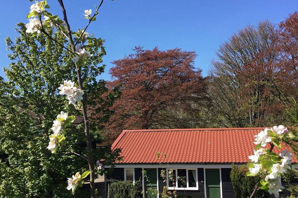 Foto 13 von 30: Cottage-Premium-Ensuite-Breakfast not included