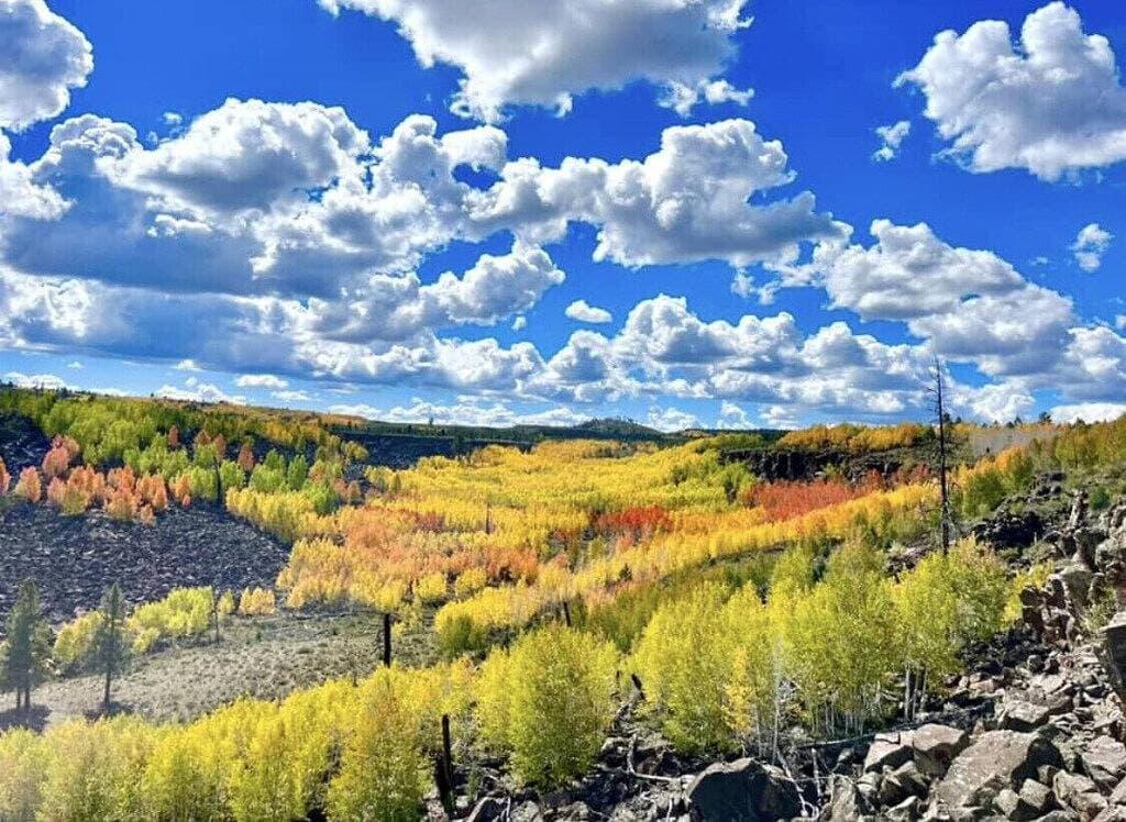 Foto 9 von 37: Cozy🏡Cabin Near⛰Brian Head☀️Zion🌄Bryce Canyon 🏞With📡Wi-Fi 🐶 Pet Friendly