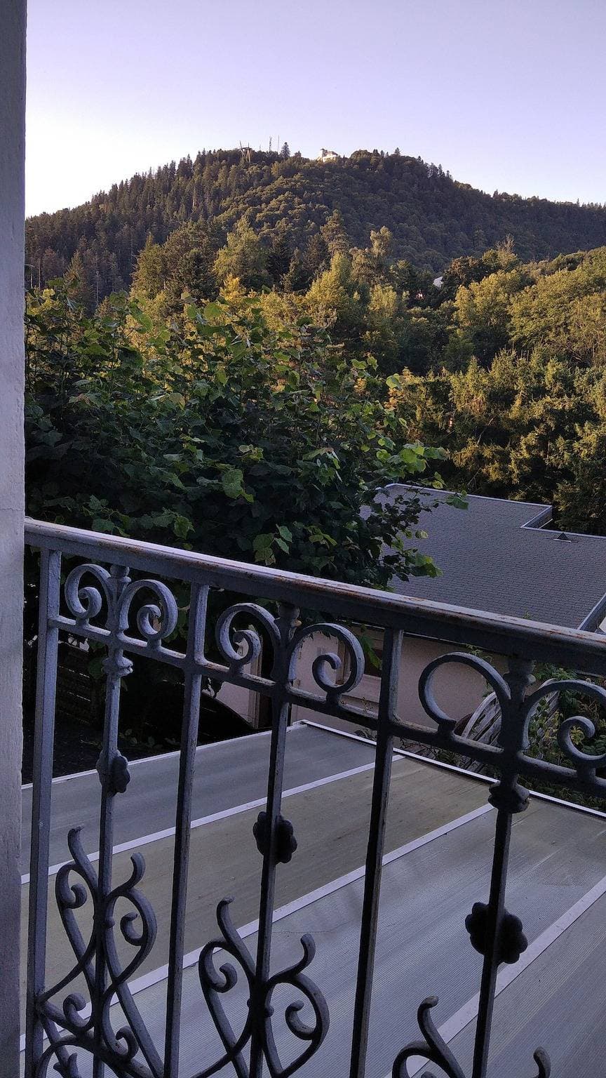 Foto 10 von 16: Apartment im Hotel 'Villa Des Fleurs Ch Colette N°28' mit Bergblick und WLAN