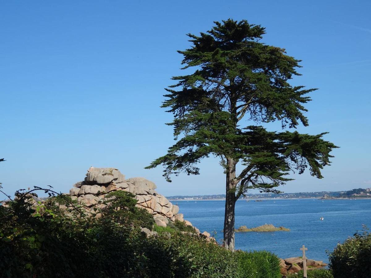 Ty-Aganisia Breizh 1