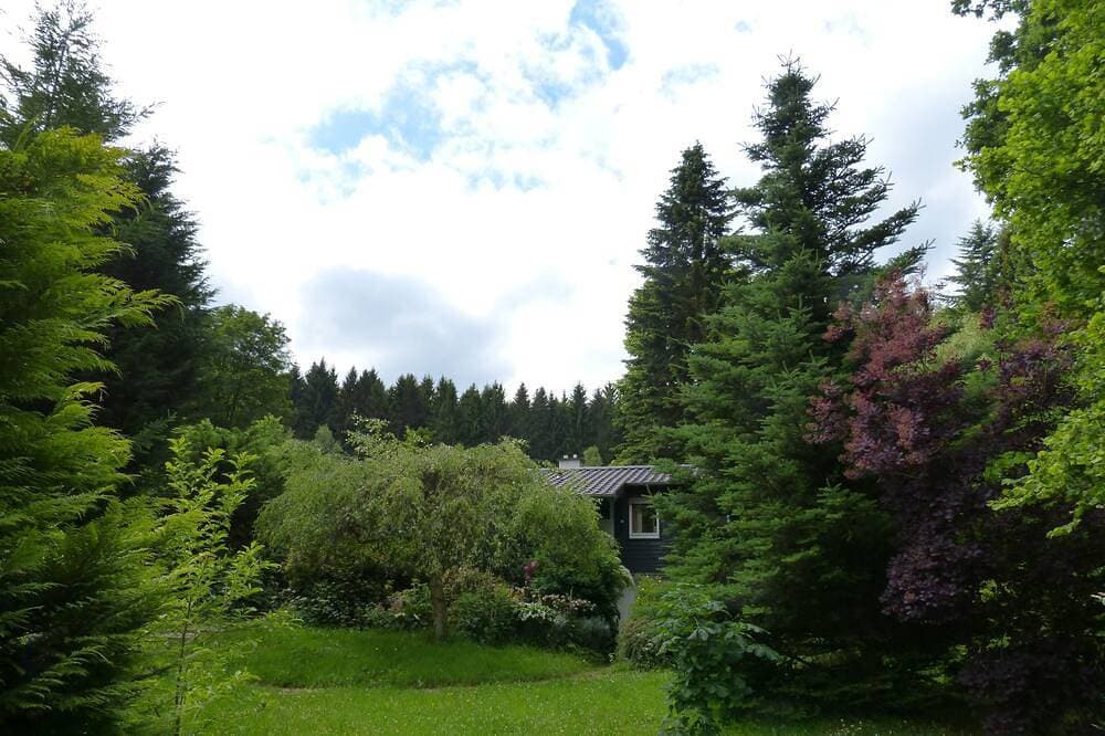 Foto 10 von 23: Holzbungalow im Naturpark Reinhardswald mit 1.000m² Grundstück - nähe Kassel