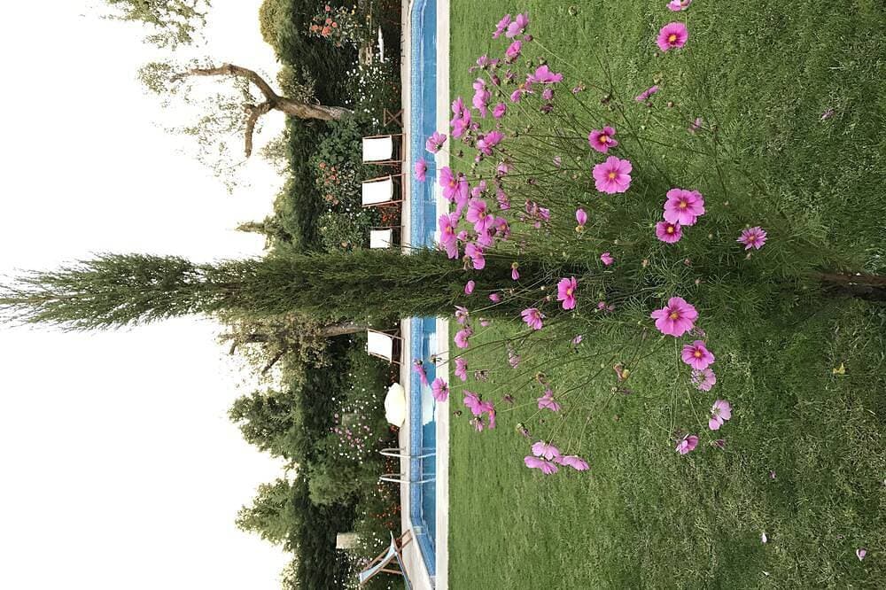 Foto 10 von 17: Casa Da Praça - Ruhe und Komfort zu einem fantastischen Preis
