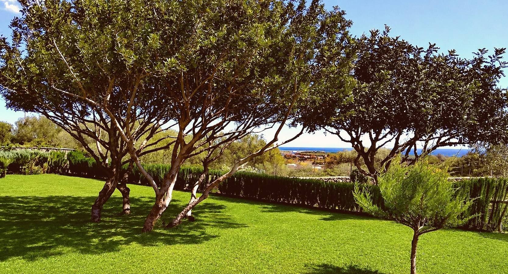 Foto 10 von 36: Apartment 'Angolo Di Paradiso - Rosone' mit Meerblick, privater Terrasse & Klimaanlage