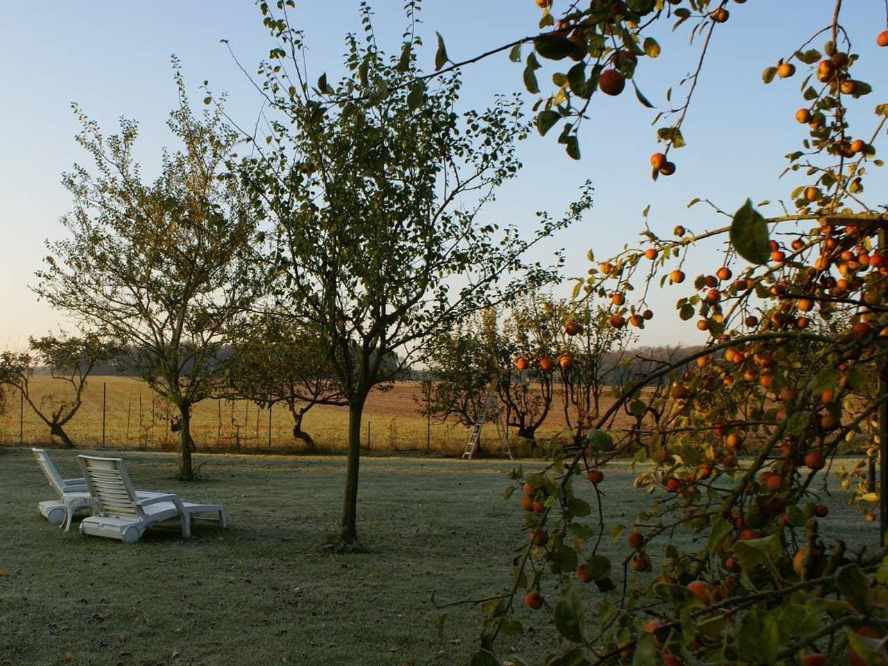 Foto 6 von 33: Renoviertes Ferienhaus mit umzäuntem Garten in Boissets