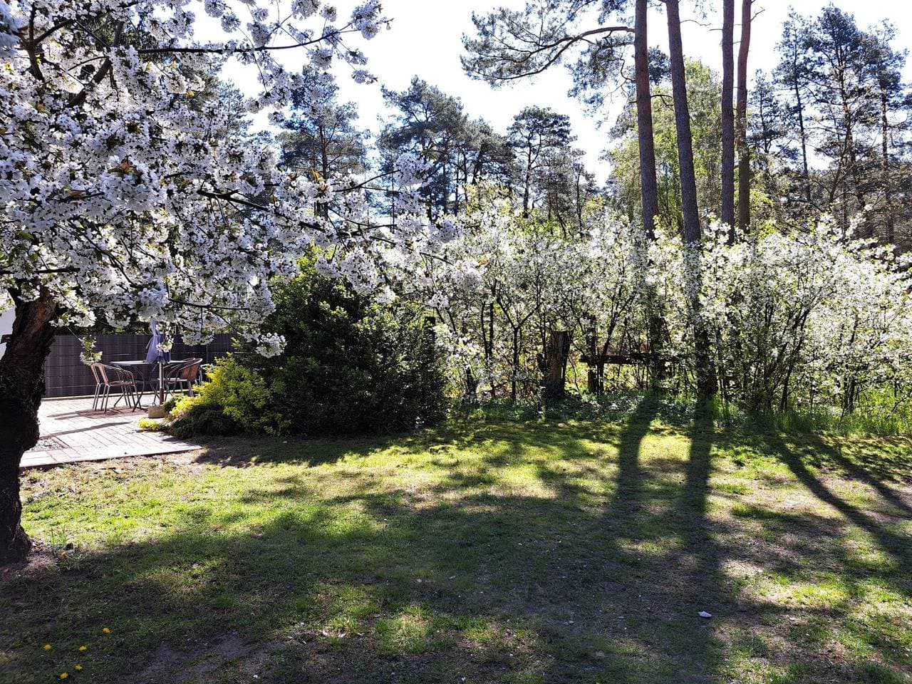 Foto 5 von 24: Mit Terrasse mitten im Grünen