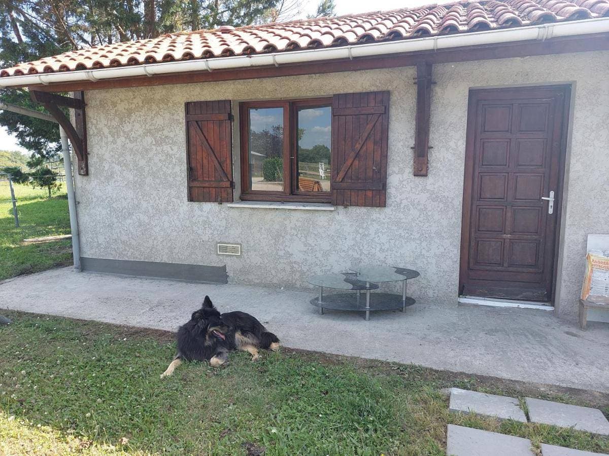 Petite maison tranquille 1
