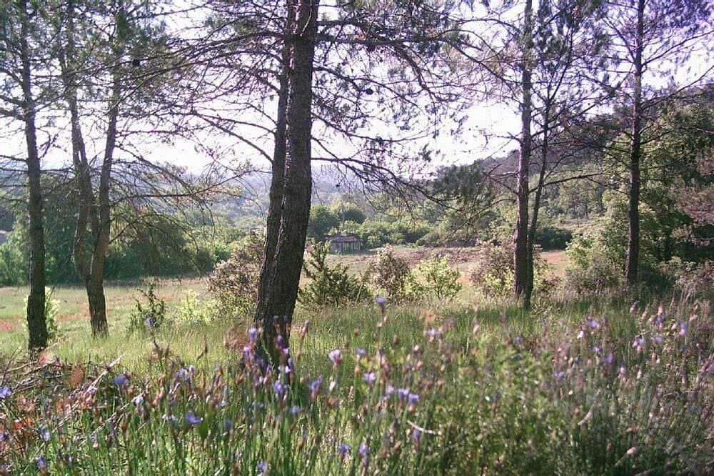 Foto 8 von 10: Studio im Herzen der Landschaft