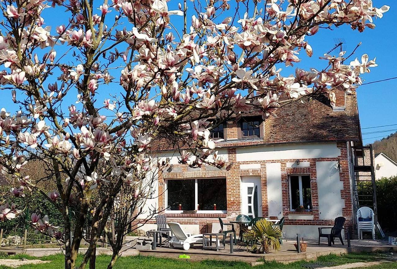 La maison aux oiseaux 1