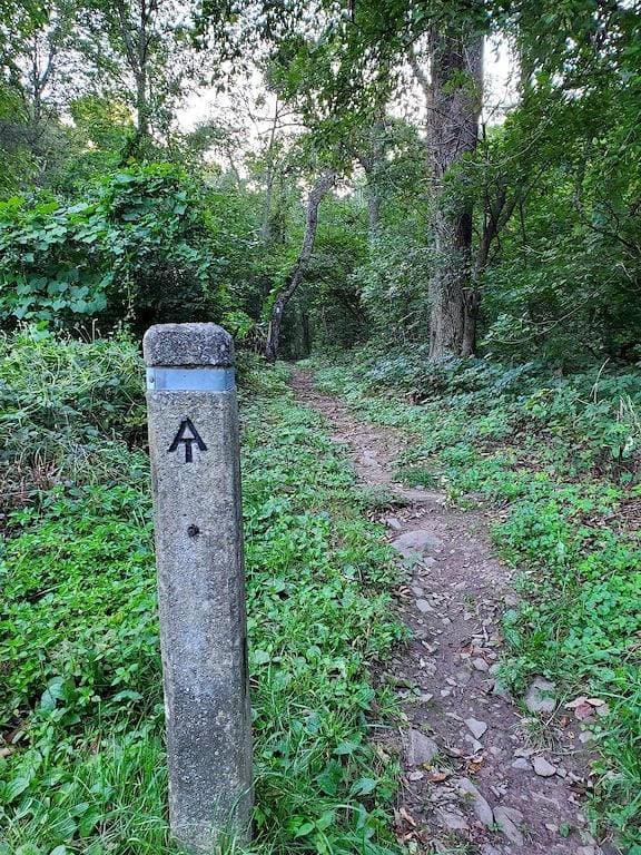 Foto 10 von 27: Abgeschiedenheit am Shenandoah River