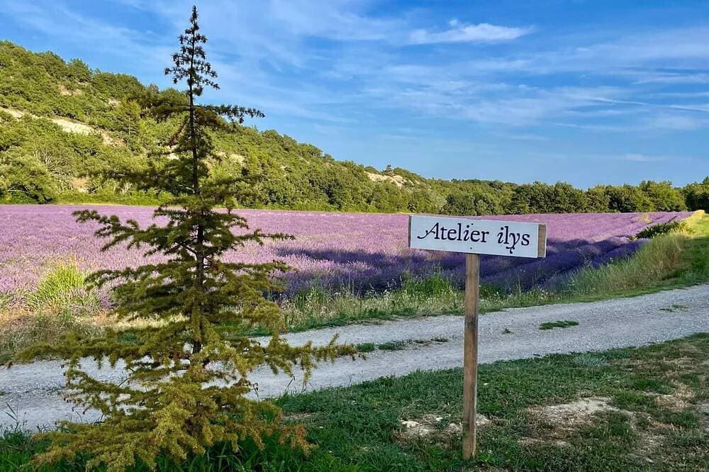 Foto 13 von 18: Quiet little cottage in the middle of lavender fields