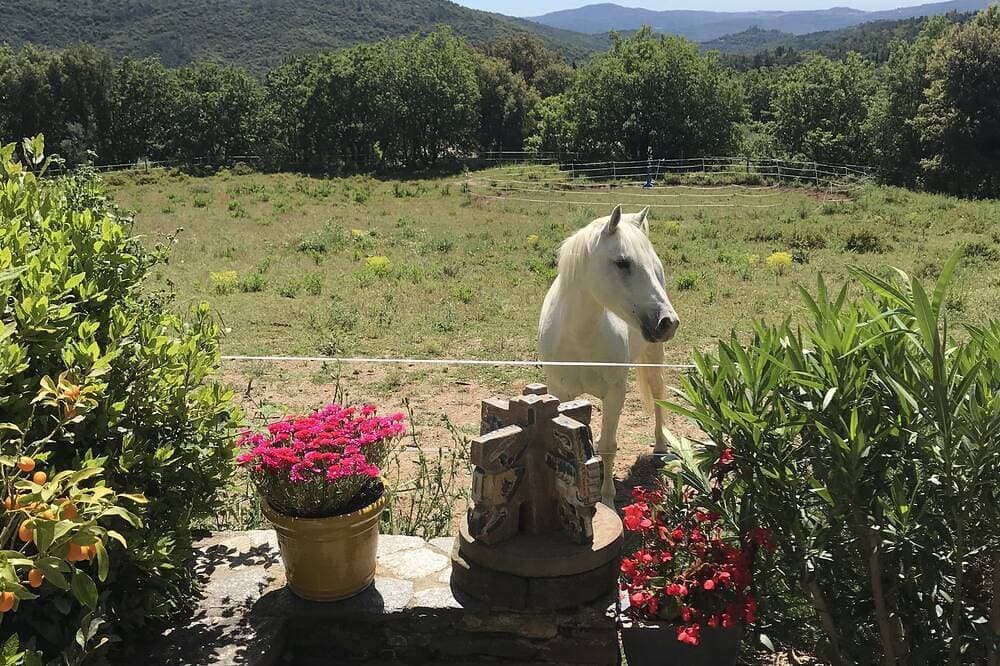 Foto 8 von 30: Le Charme Authentique et Bohème de la Pleine Nature Dans le Golfe de St Tropez