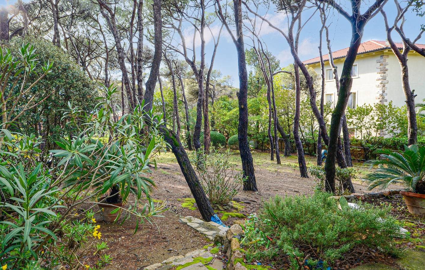 Foto 2 von 26: Gemütliche Ferienwohnung mit WLAN, Terrasse und Garten – 700 m vom Strand Cala del Leone entfernt
