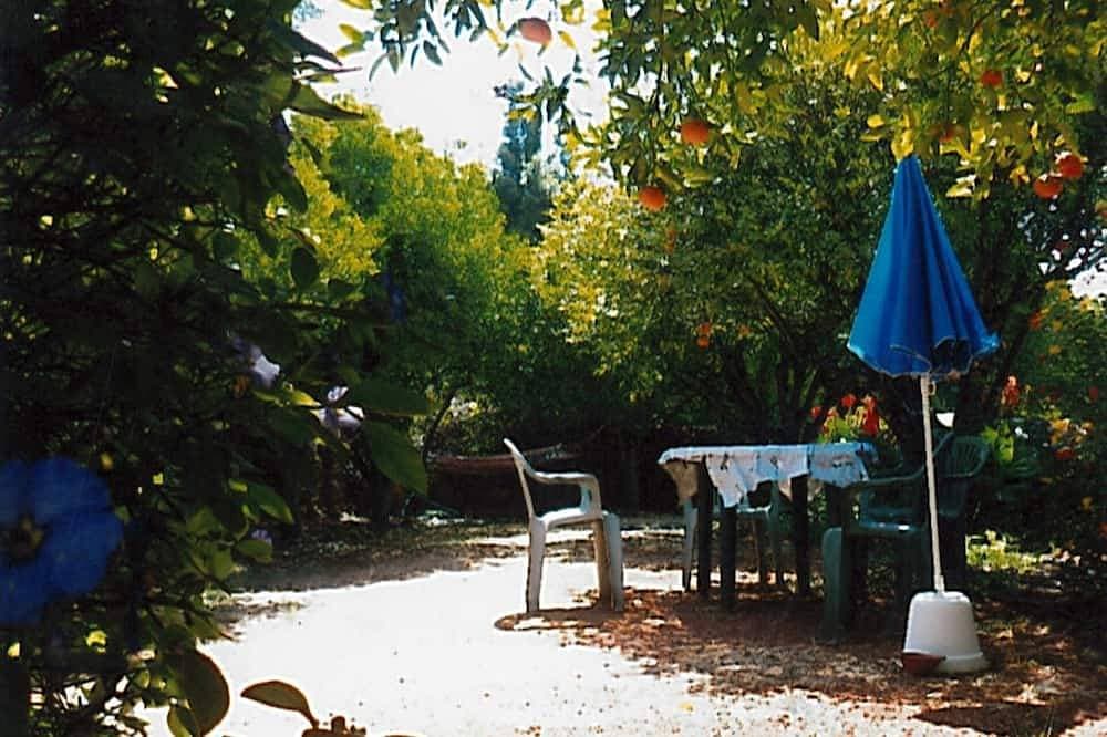 Foto 9 von 10: Im Herzen der Orangenbäume der Algarve zwischen Strand und Landschaft