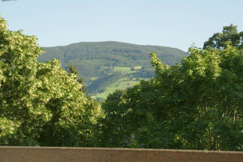 Ferienwohnung Rappeneck-Blick nur für Urlauber 1