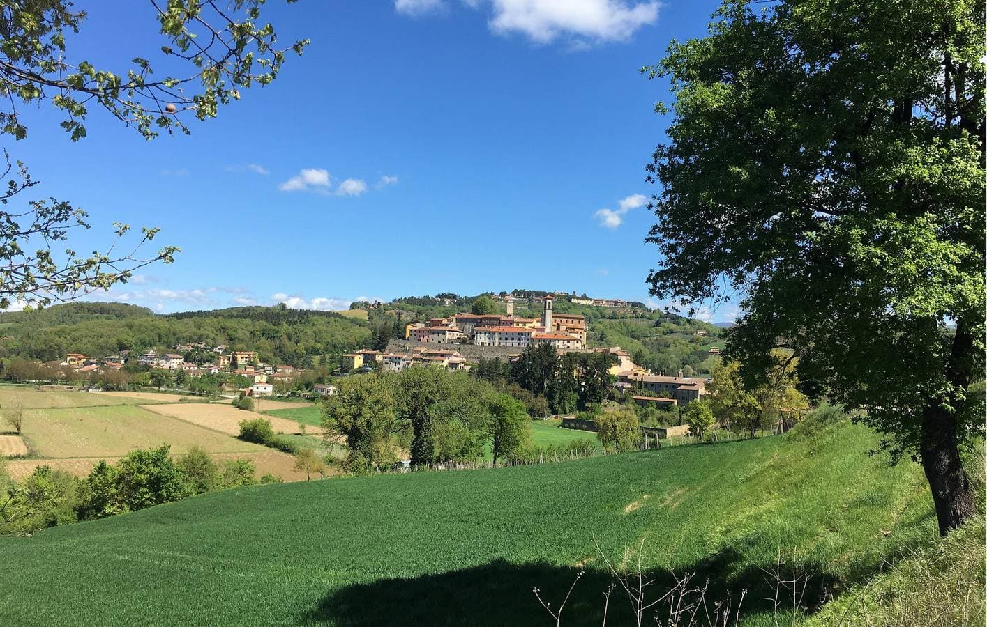 Foto 11 von 38: Ferienwohnung auf dem Lande mit Pool und Parkplatz - 1km zum Monte Santa Maria Tiberina