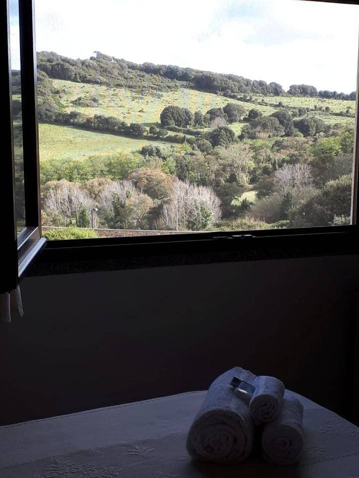 Foto 10 von 29: Triple Room with Mountain View