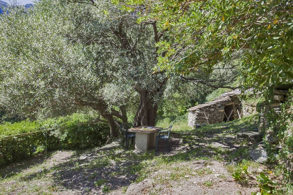 Foto 12 von 30: Kleines Haus für die von der Natur umgeben Ferien.