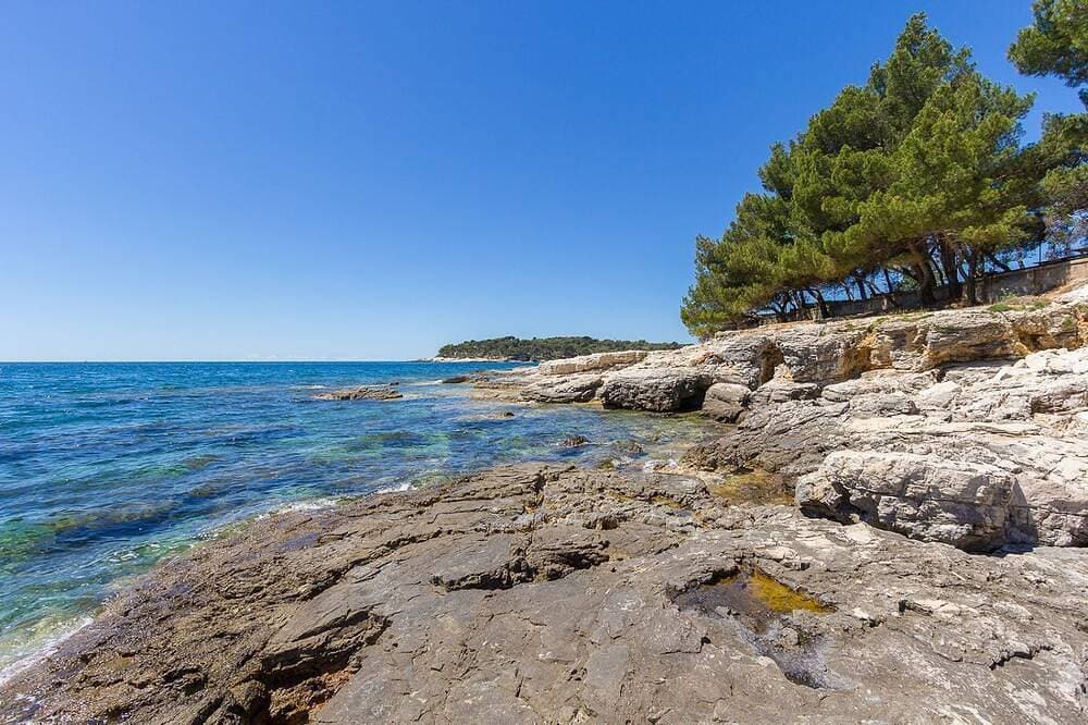 Foto 10 von 18: 50 Meter zum Strand mit Küche, Parkplatz, Haustiere erlaubt, Garten, Grill