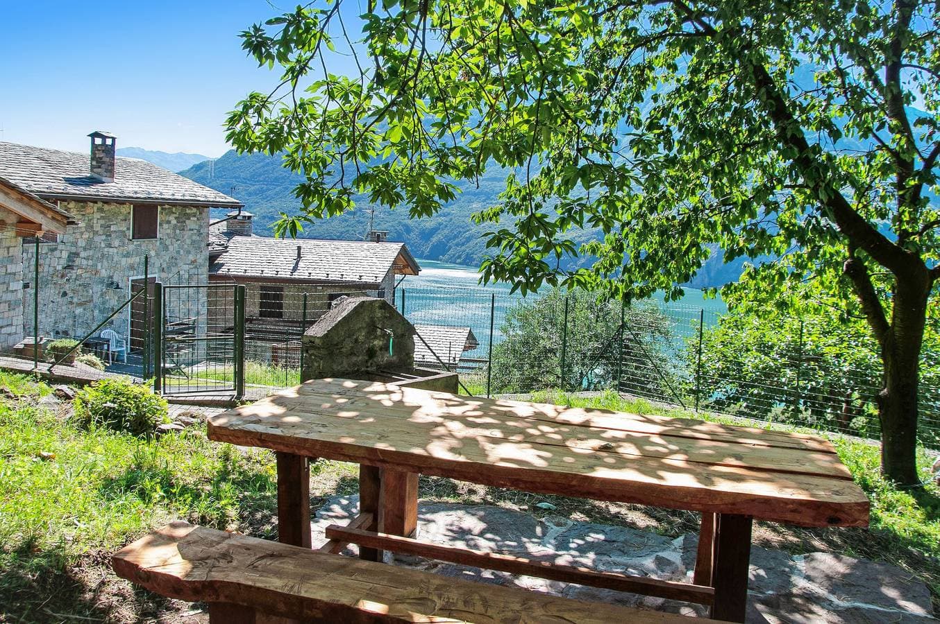 Il ciliegio sul lago 1