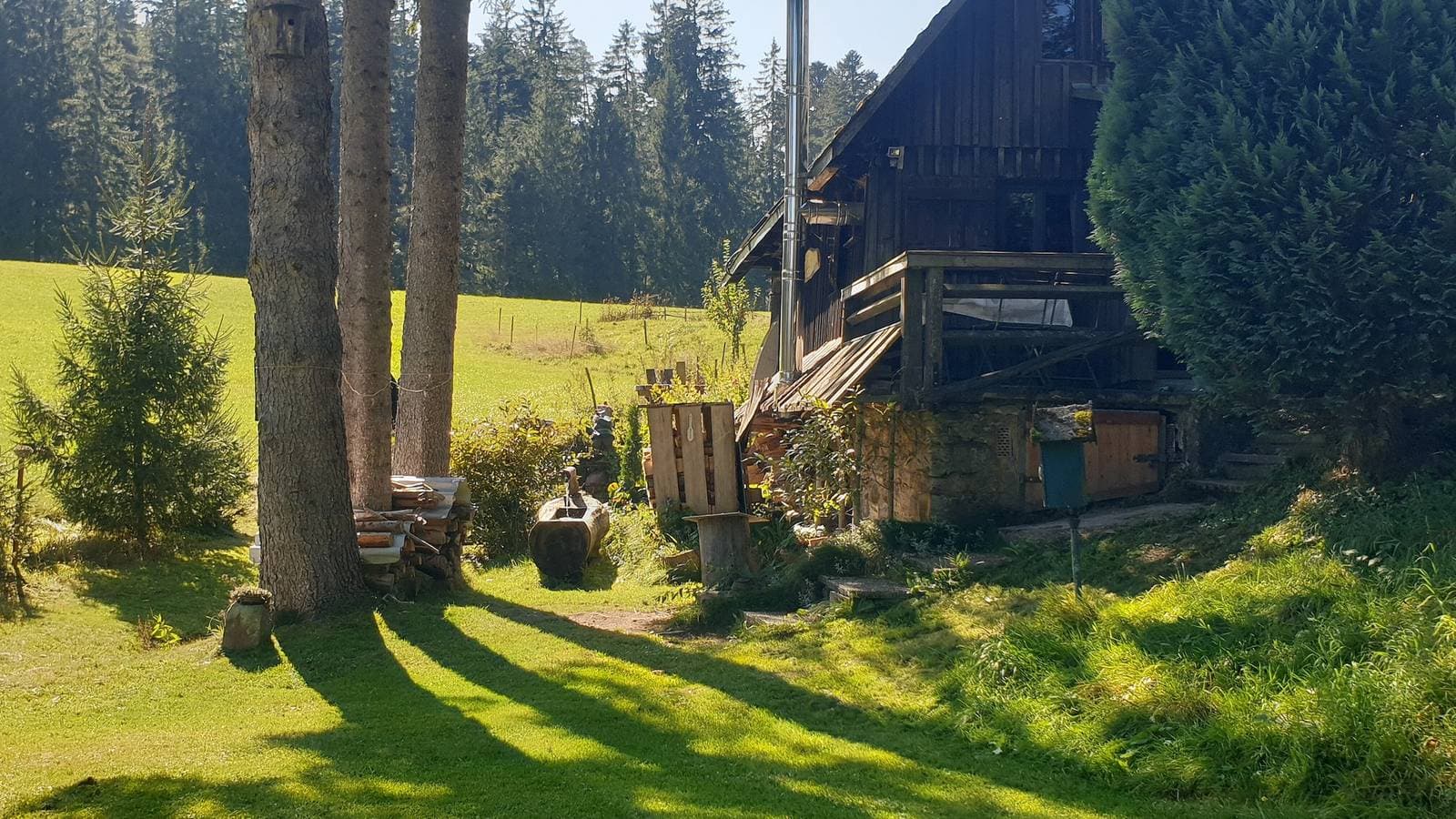Mühle am Wolfsgrund 1