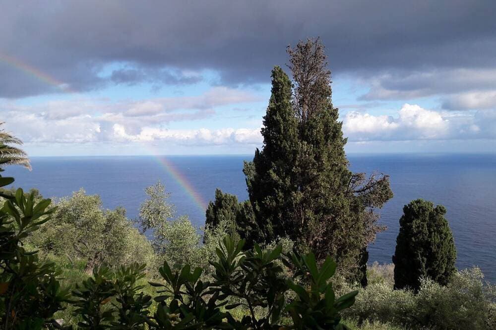 Foto 10 von 11: Zedernhaus, in einem großen mediterranen Garten, den Seealpen und dem Meer