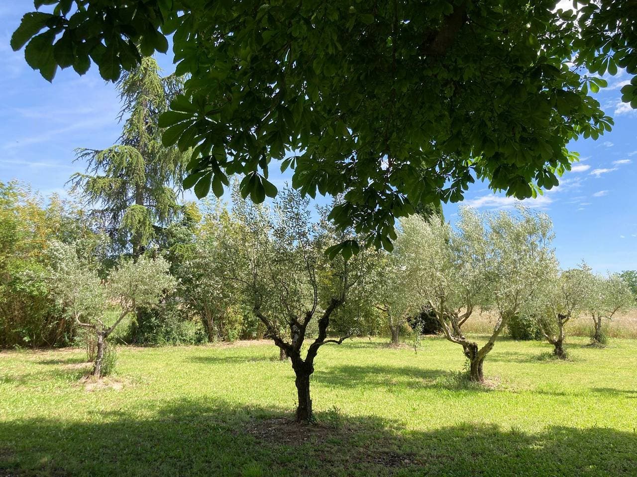 Foto 2 von 22: Geräumige provenzalische Villa in der Nähe des Luberon