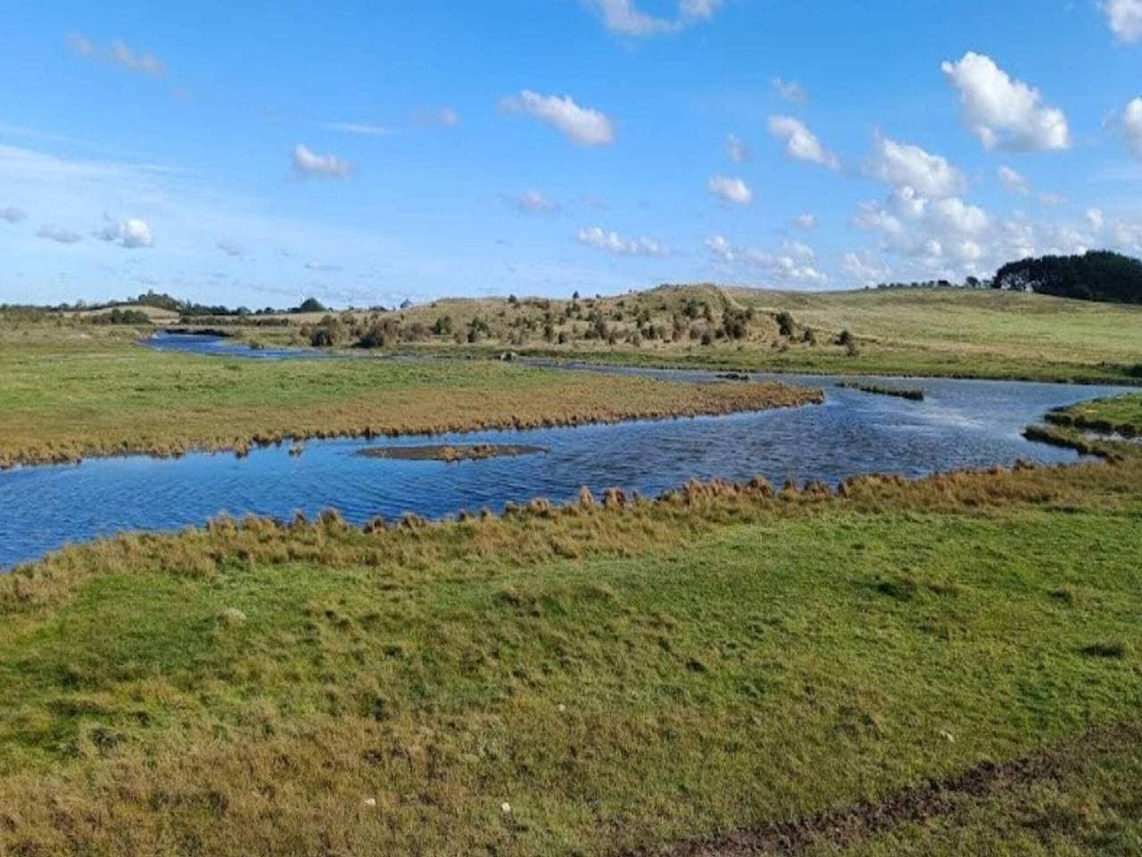 Foto 6 von 39: 3 Personen Ferienhaus in Ærøskøbing